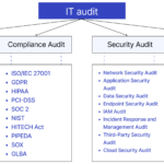 IT audit services.