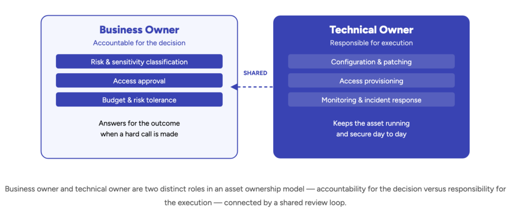 Business owner and technical owner are two distinct roles in an asset ownership model — accountability for the decision versus responsibility for the execution — connected by a shared review loop.