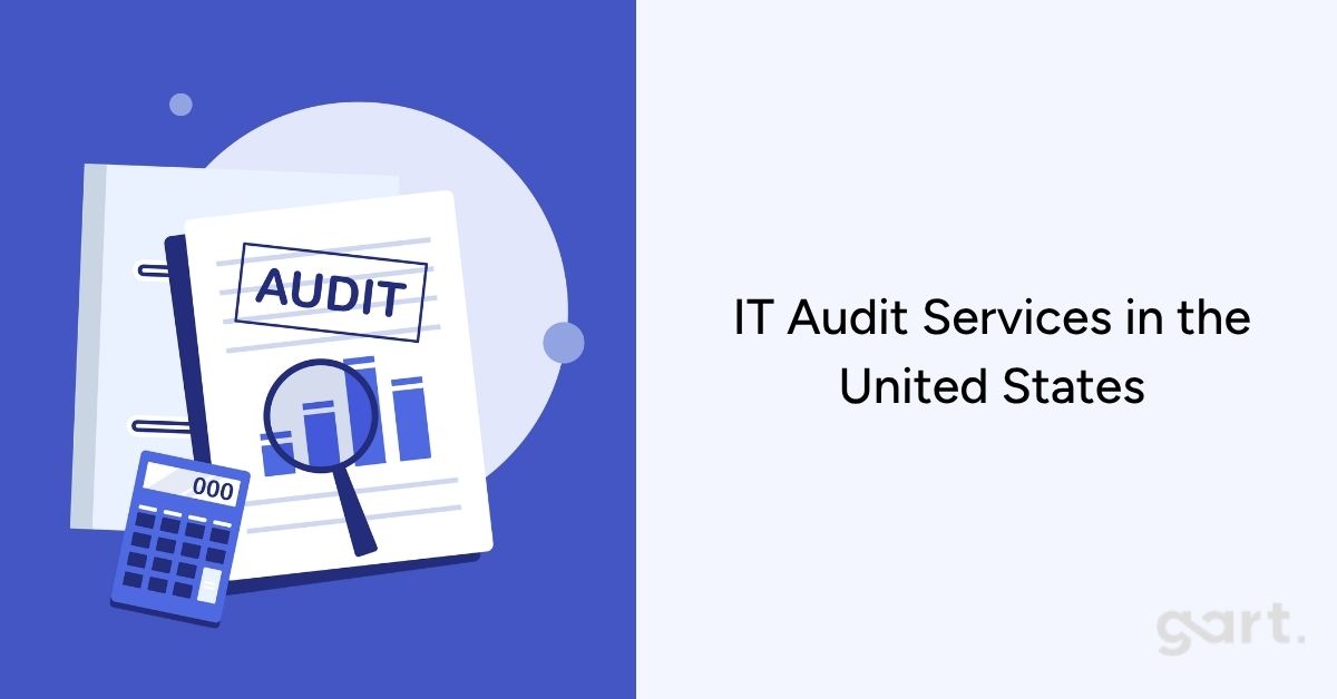 IT Audit Services in the United States