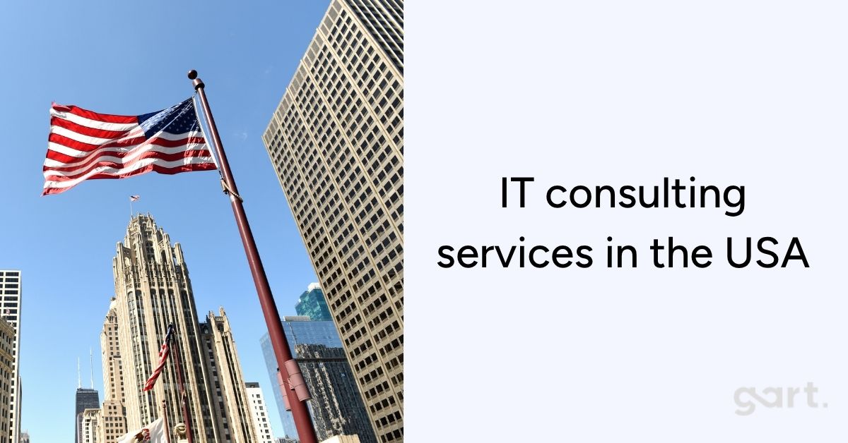 IT consulting services in the USA